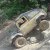 landmania2009.036