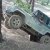 landmania2009.047