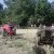landmania2009.056